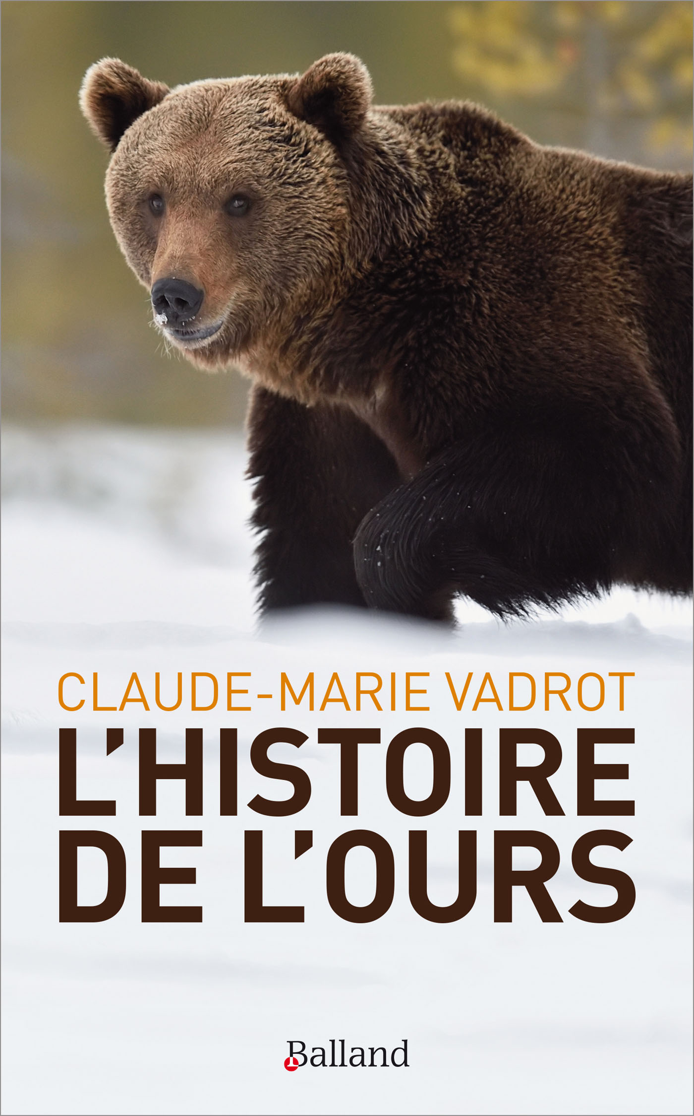 L'histoire de l'ours